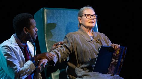 Review: In ‘Scene Partners,’ Dianne Wiest Delivers Another .